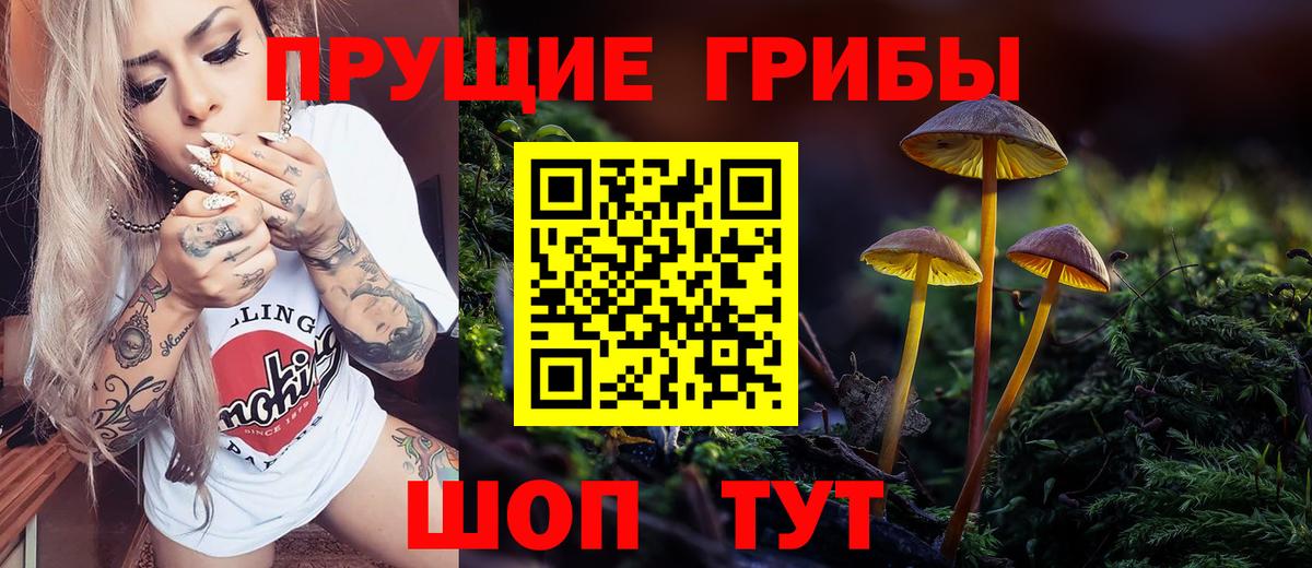 Урюпинск  Псилоцибиновые грибы GOLDEN TEACHER  Вход с VPN 