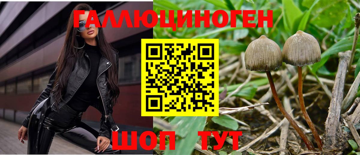 Псилоцибиновые грибы мухоморы Урюпинск